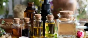 Learn the Fragrance Notes_ Image 1