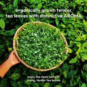 ROYAL EARL GREY (BLACK TEA + BERGMOT) Fresh Harvest